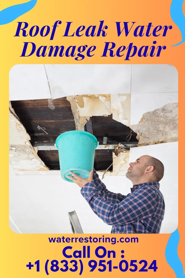 Roof Leak Water Damage Repair in Leach, OK