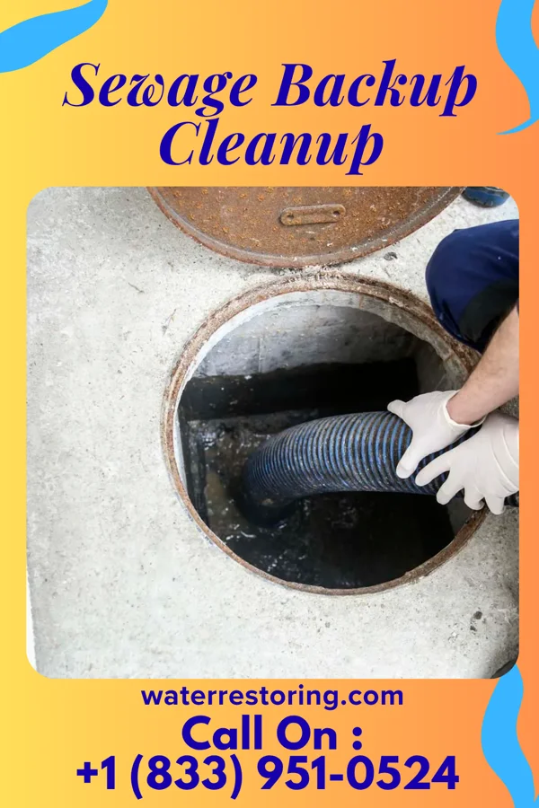 Sewage Backup Cleanup in Leach, OK
